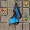 Jogo da Memória da Borboleta