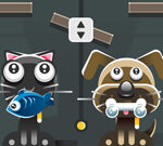 Dois amigos